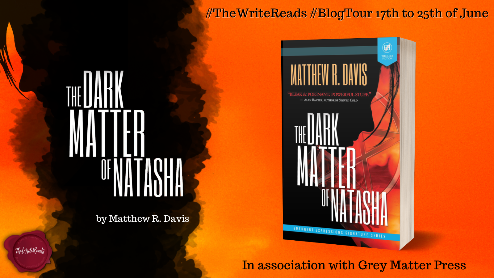 The Dark Matter of Natasha cover picture