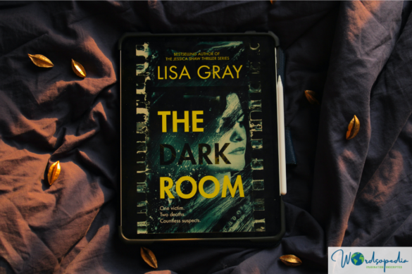Cover image of The Dark Room by Lisa Gray
